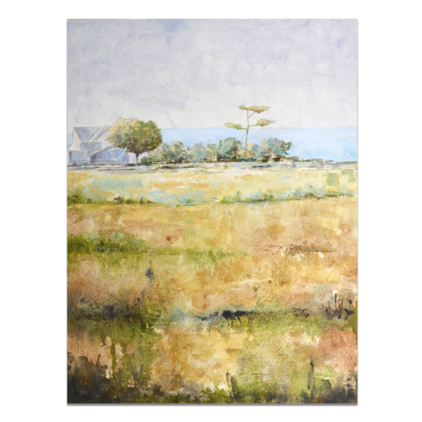 C. Grau - CAMPELLO II